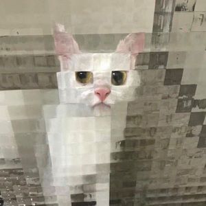 Meet your Posher, Zora